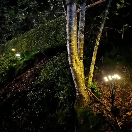 Domaine Du Hygge Lodges&spa