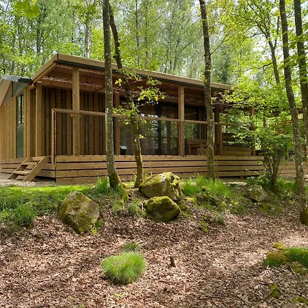 Chalet Domaine Du Hygge Lodges&spa Anould